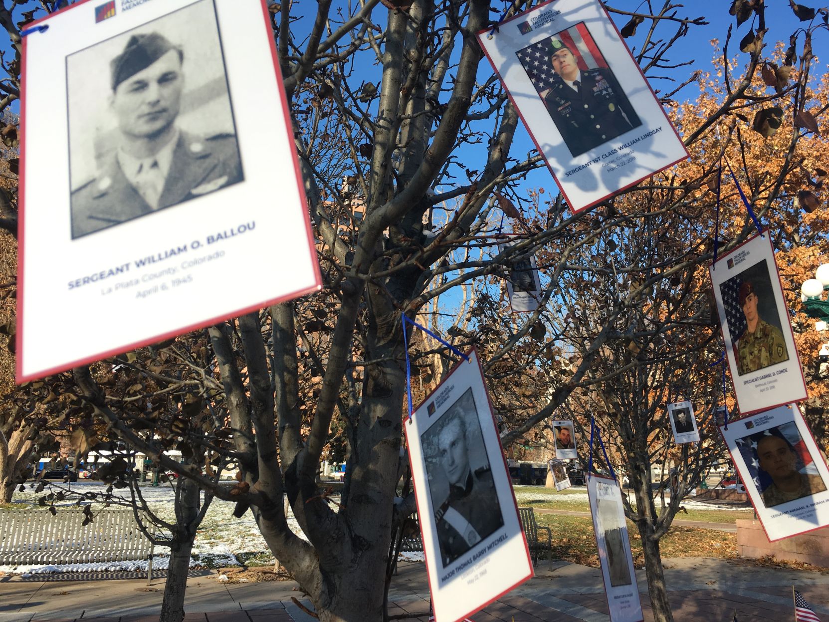 Soldiers' pictures at Lincoln Park on Veterans Day